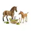 Schleich Horse Club Sarahin eläinvauvojen hoitosarja 42432-muksumassi.fi
