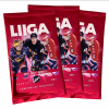 Liiga kortti 2022 - 2023 series 2 - Thumbnail Image 2