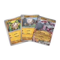 The Pokémon TCG: Annihilape ex Box