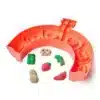 Kinetic Sand taikahiekka pizza leikkisetti 7 Kinetic Sand taikahiekka pizza leikkisetti - Thumbnail Image 2