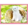 Trefl 4 in 1 Kissa palapeli 10 Trefl 4 in 1 Kissa palapeli - Thumbnail Image 4