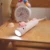 Pinky Yksisarvinen Taskulamppu - Thumbnail Image 3